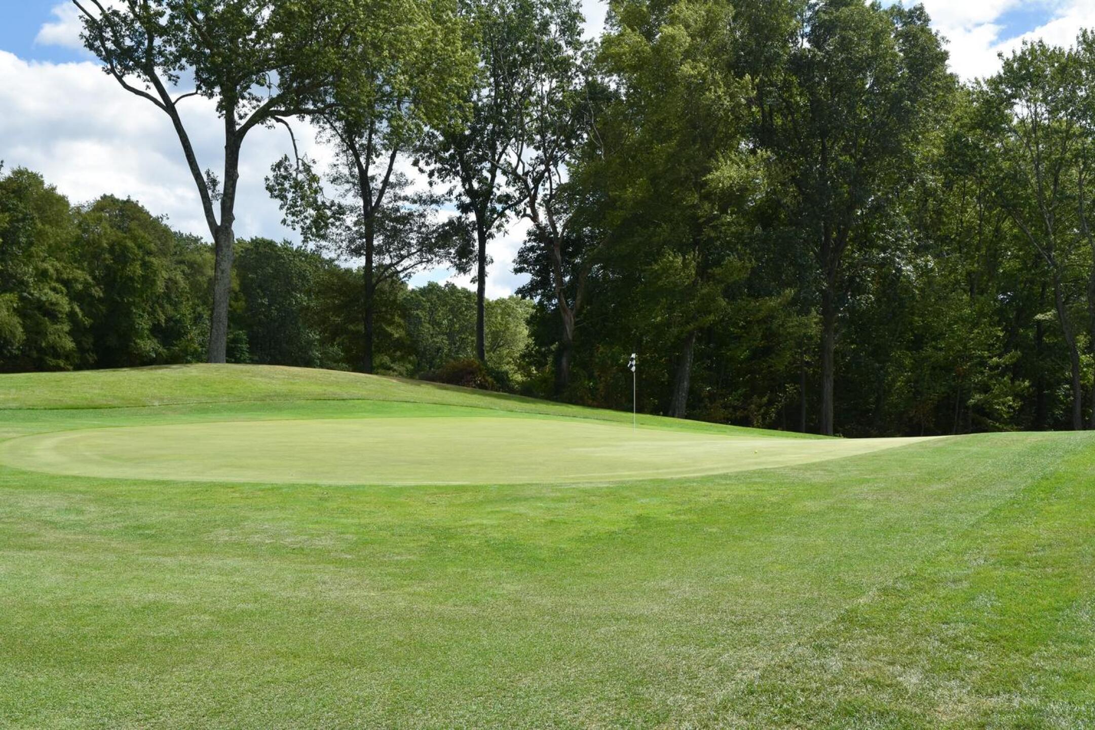 The fifth, an excellent par-3, plays downhill from a high tee to this spacious green. Missing the green may leave a tricky chip or pitch shot. (Photo submitted by AptlyLinked on 08/30/2025)