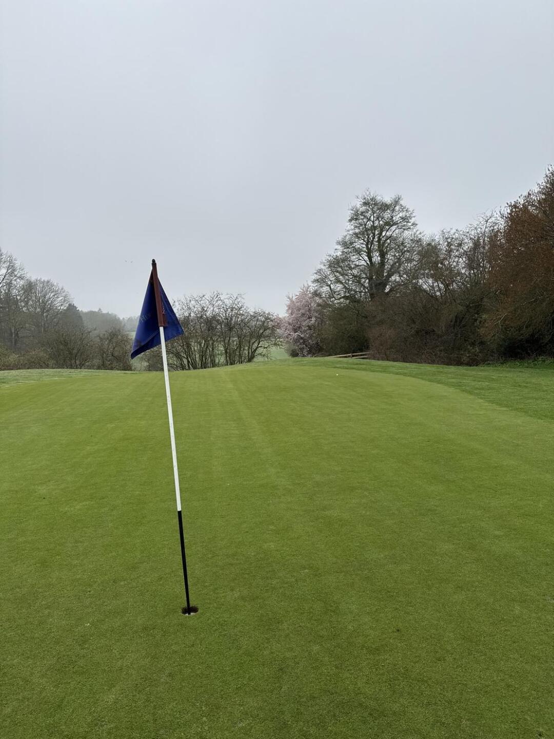 (Photo submitted by Jcarbonaro91 on 03/09/2026)