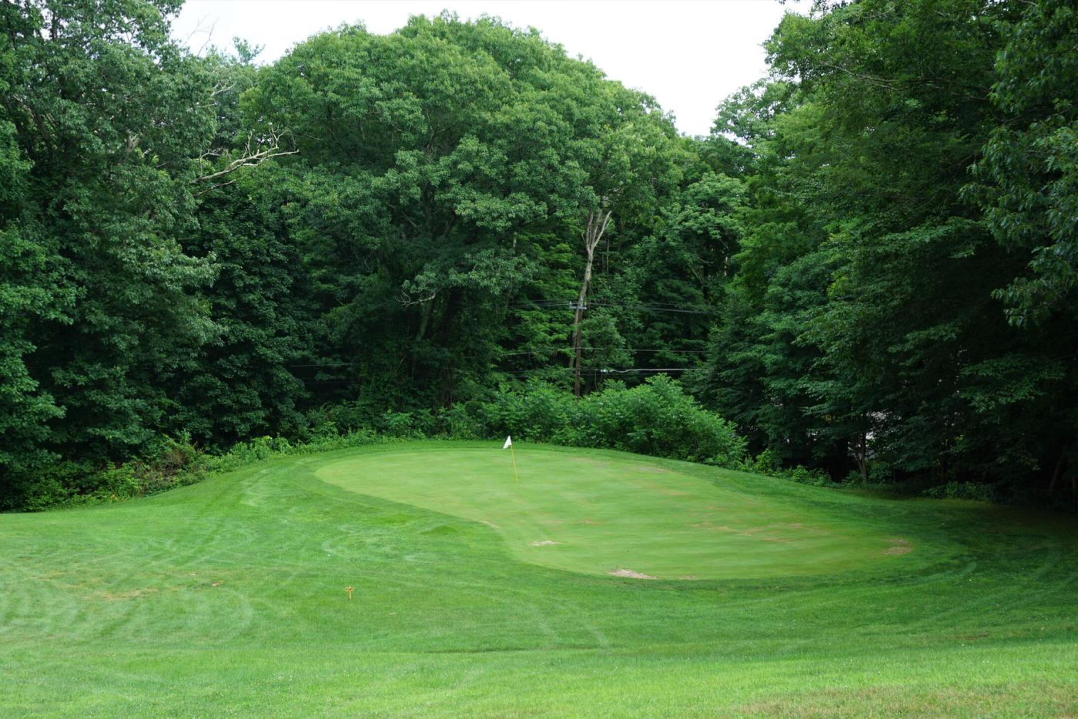 Seven: par-3, 211. This is the well-guarded green at the base of the small valley. (Photo submitted by AptlyLinked on 07/05/2021)