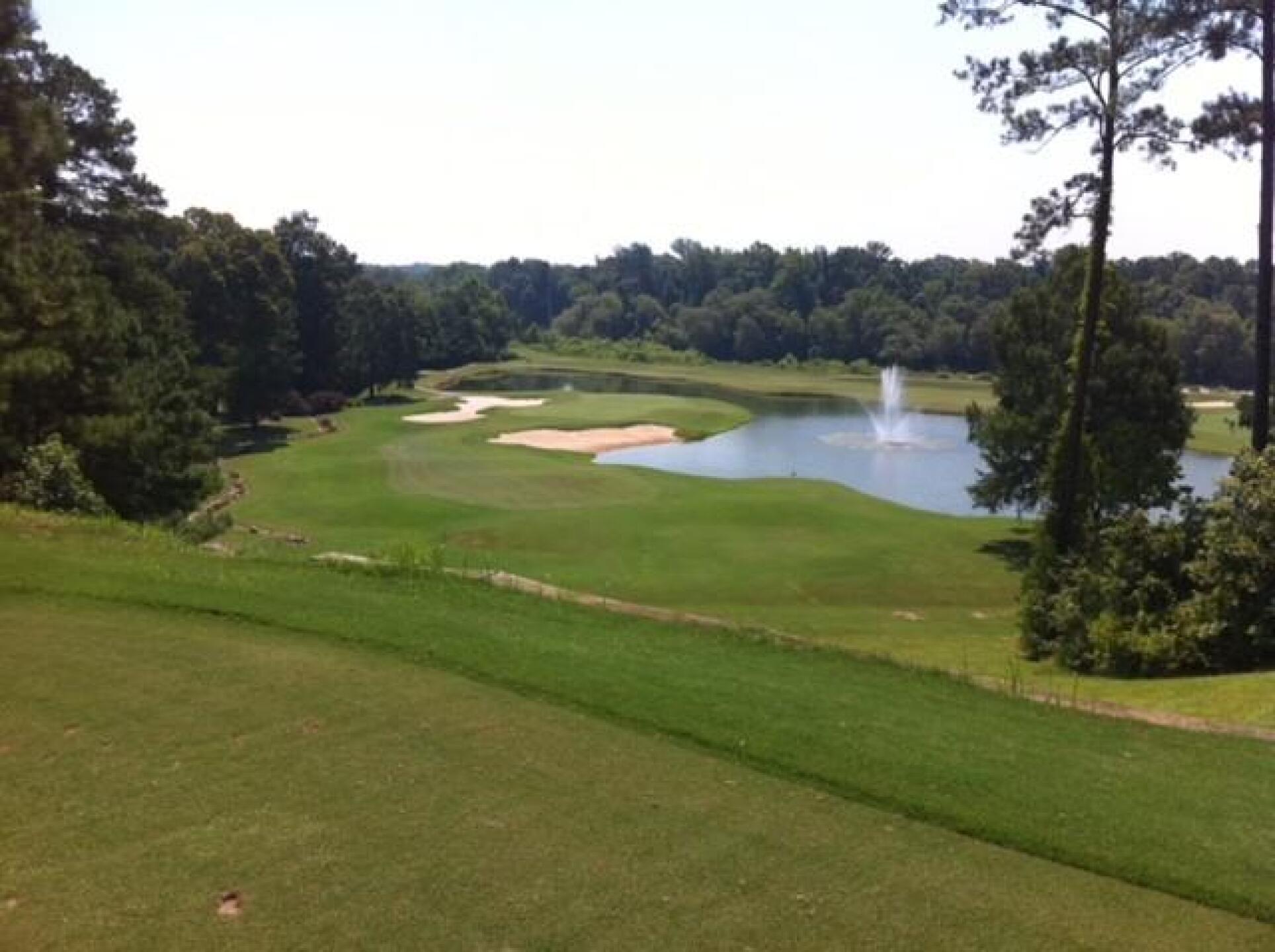 #8 (Photo submitted by Bigboudreaux on 06/23/2017)