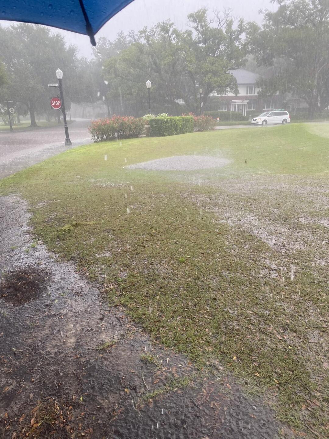 (Photo submitted by frnkxz11 on 11/06/2024)