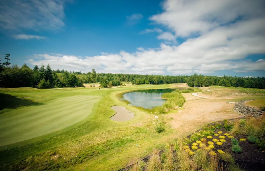 White Tees on the Golf Course and Who Should Play Them