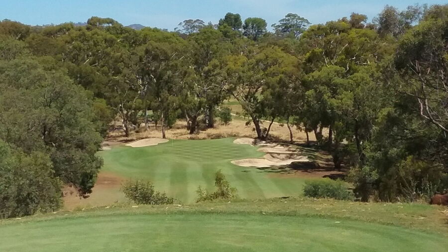 Tanunda Pines GC