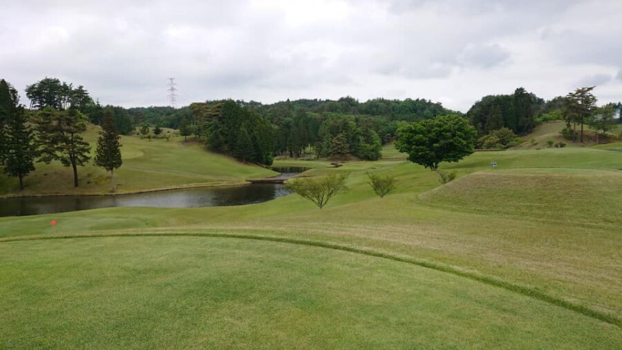 Obara CC