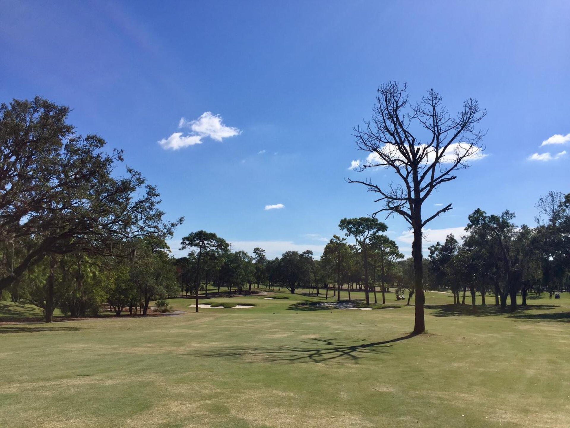 The up-and-over par-5 5th is the most interesting hole on Copperhead's front nine. (Photo submitted by TimGavrichGP on 12/20/2017)
