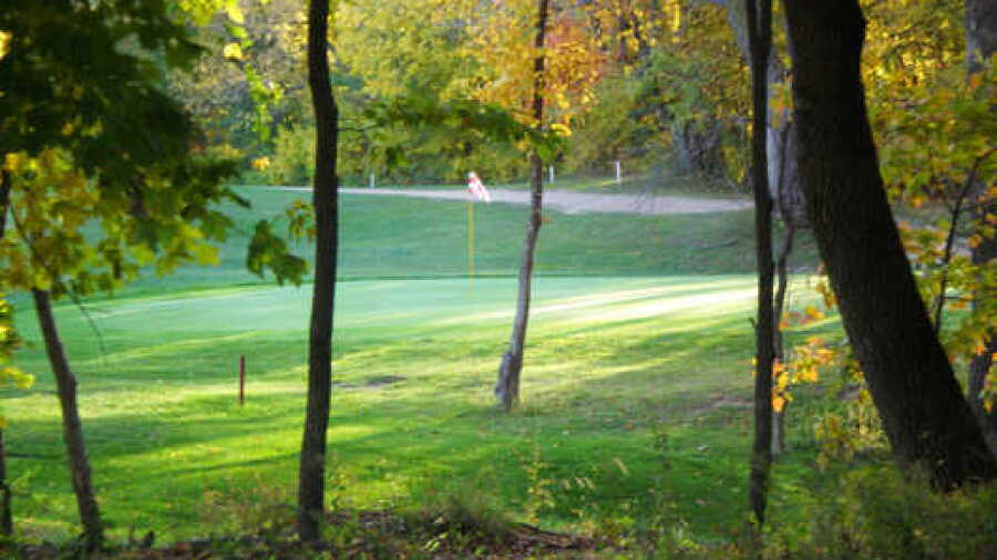 Bluff Creek GC: #11