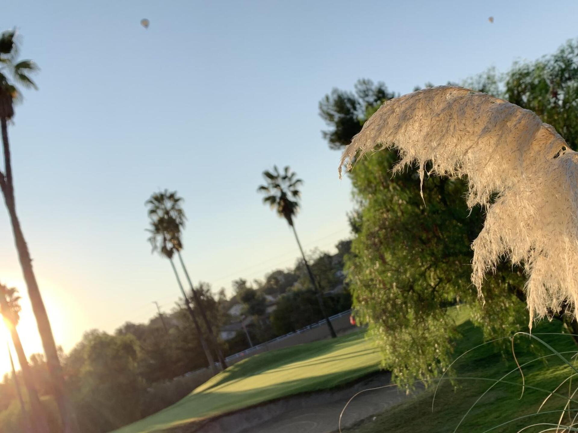 12 tee looking back on 11 green w. Spoon above. (Photo submitted by AgentBaldEagle on 10/20/2020)