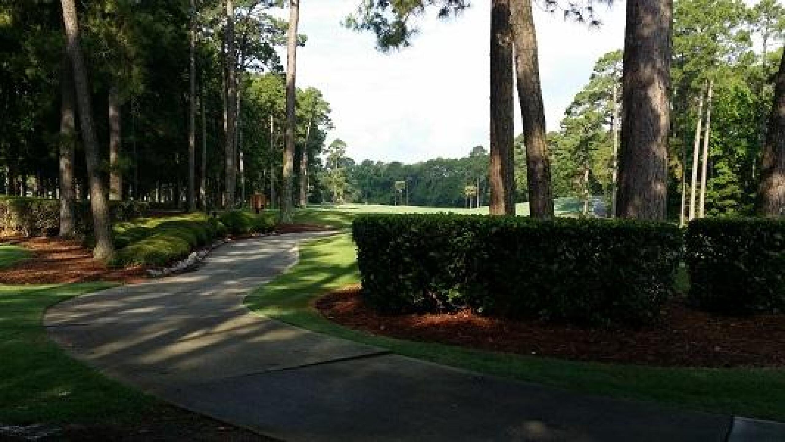 (Photo submitted by rsmy123 on 07/13/2014)