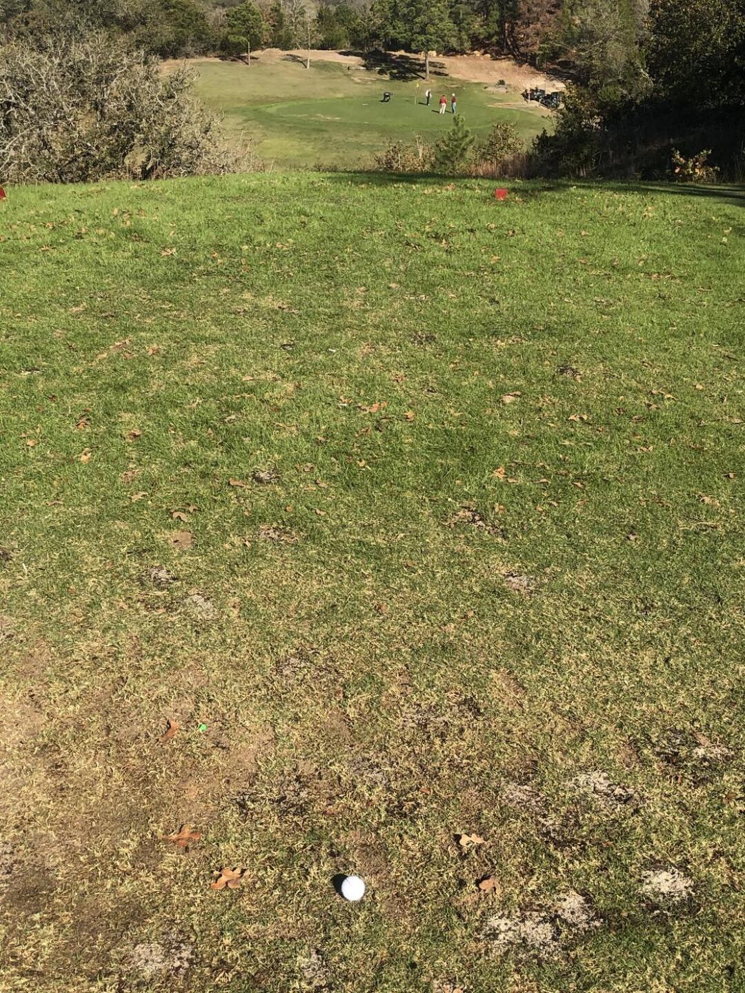 (Photo submitted by u314160966887 on 11/16/2020)