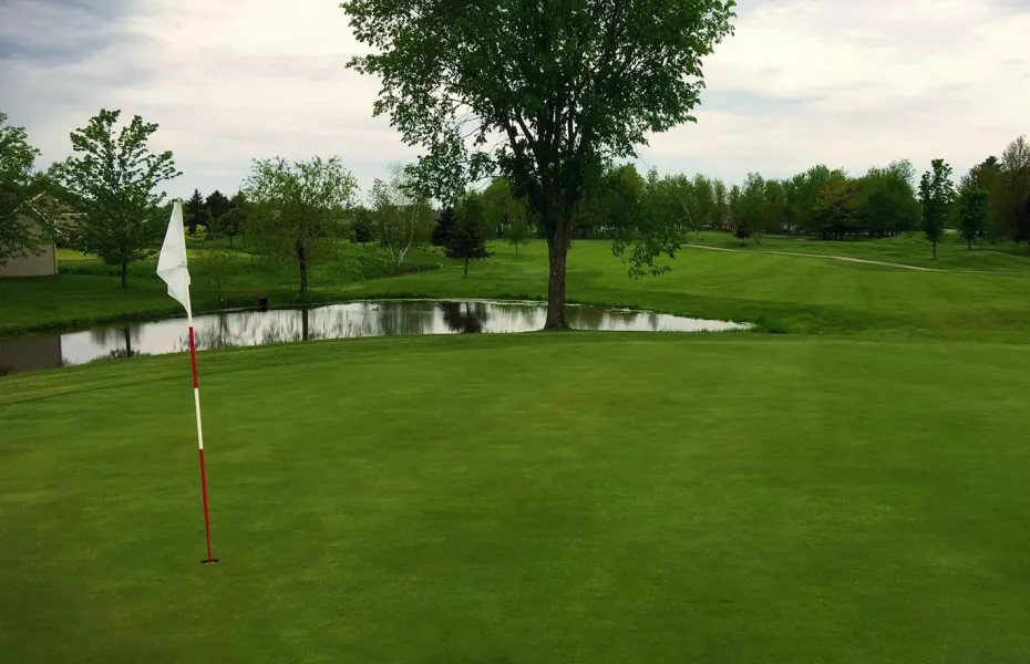 Le Parcours du Vieux Village: #5