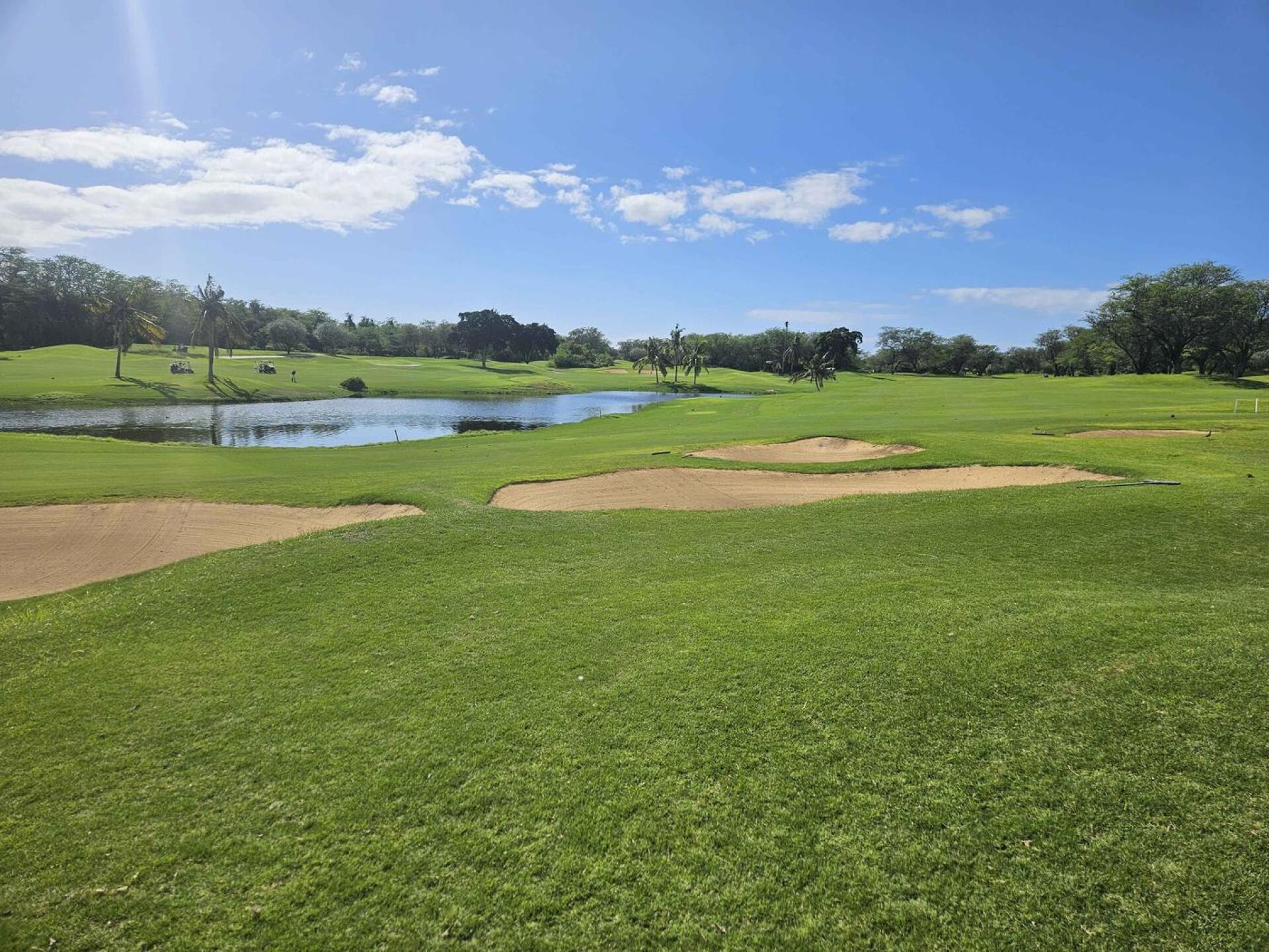 (Photo submitted by u314161622535 on 01/26/2026)