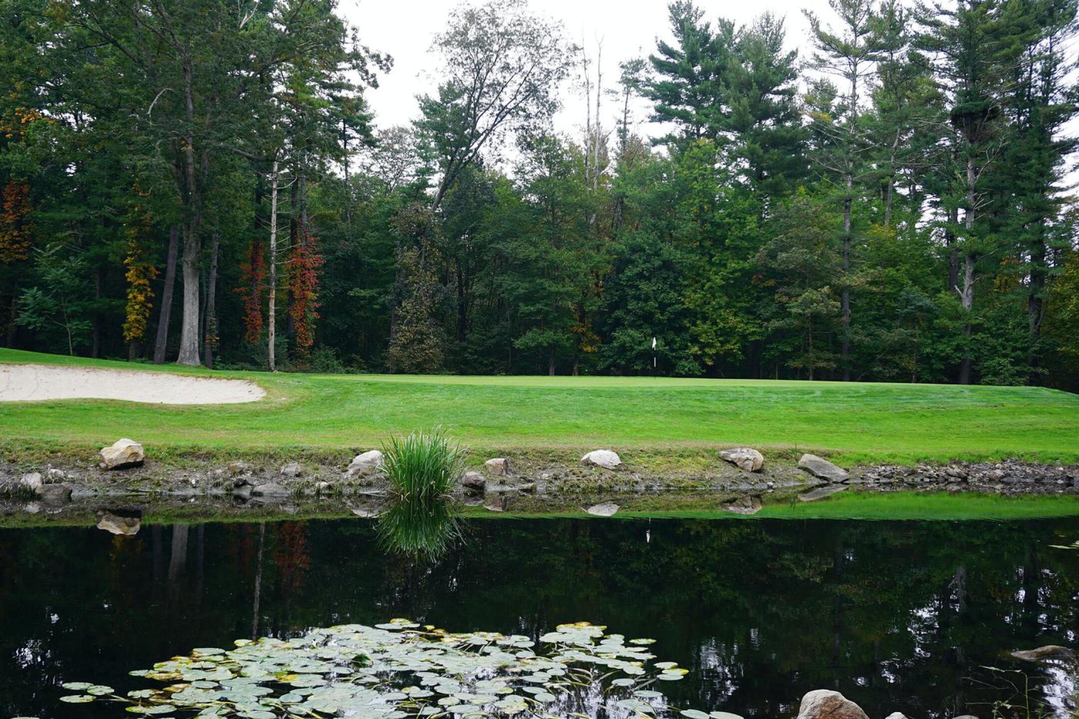 The twelfth. A short par-4 where you’ll cross this serene pond on the pitch. (Photo submitted by AptlyLinked on 10/10/2021)