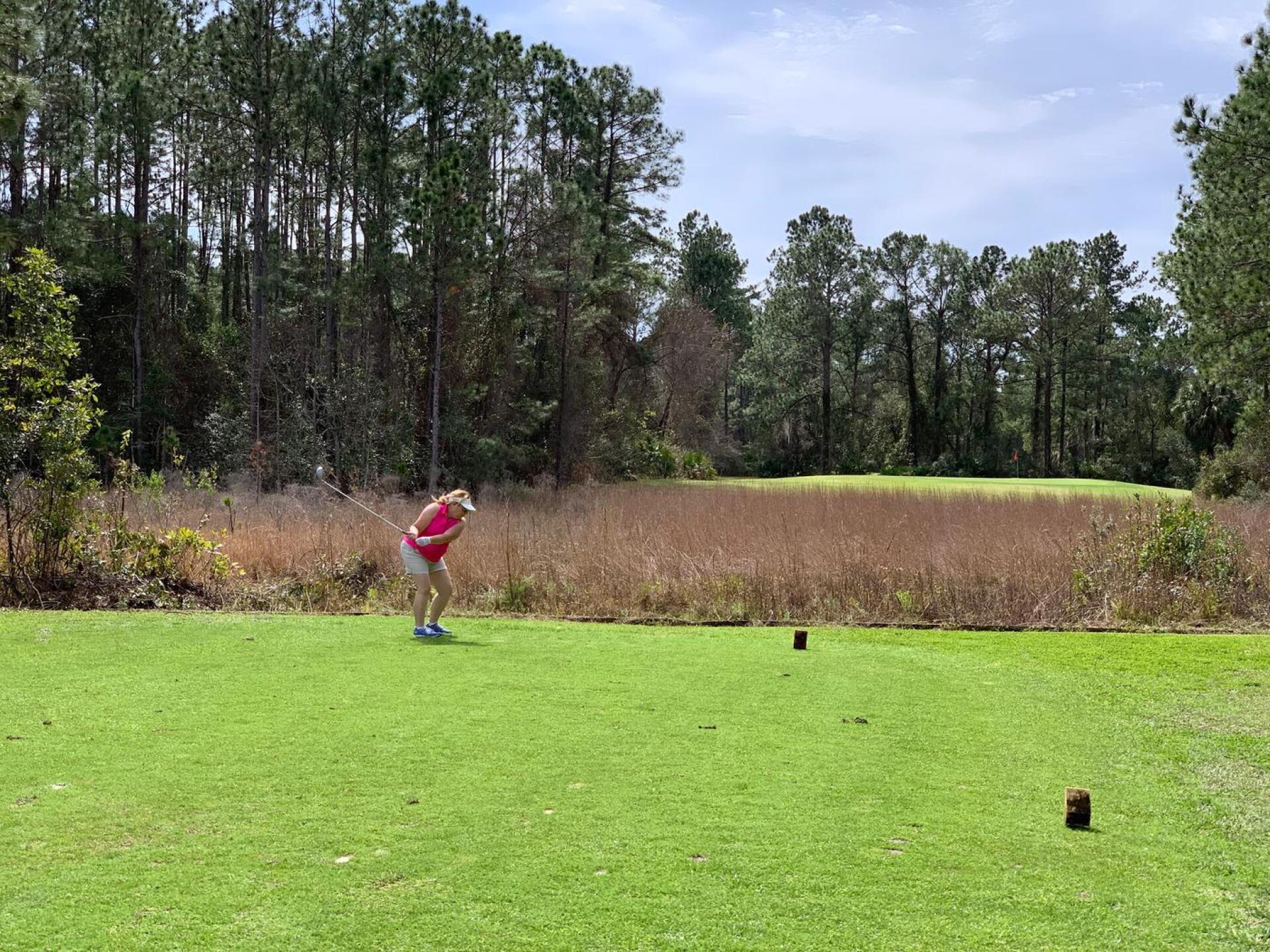 par 3 over swamp (Photo submitted by DougVann on 02/15/2019)