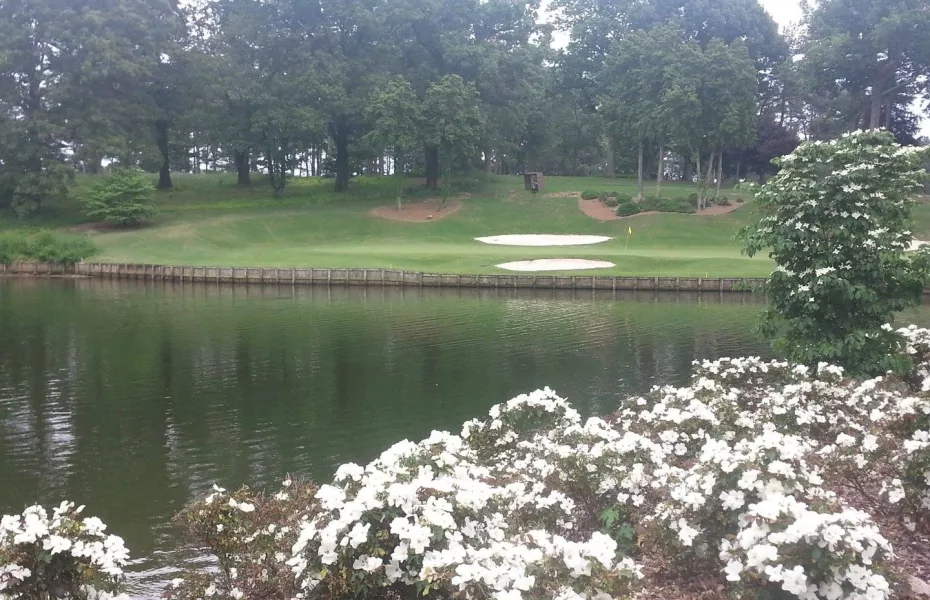 Turtle Point Yacht & CC: #8