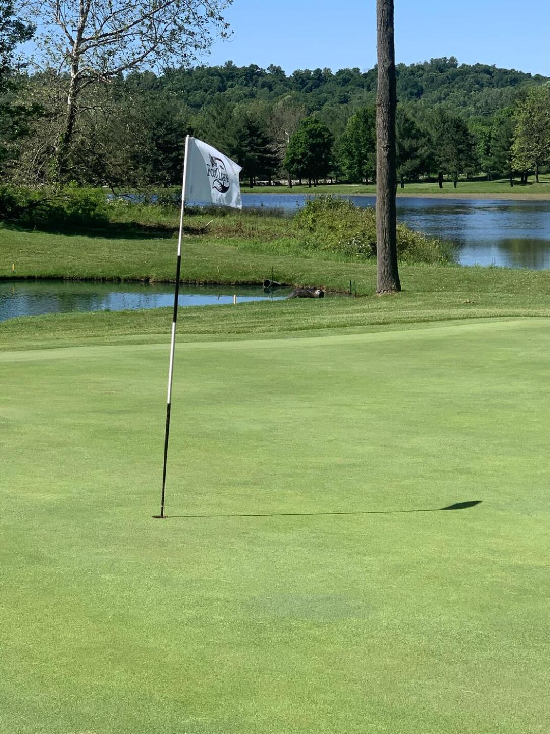 (Photo submitted by fastpitchdad1122 on 06/01/2020)