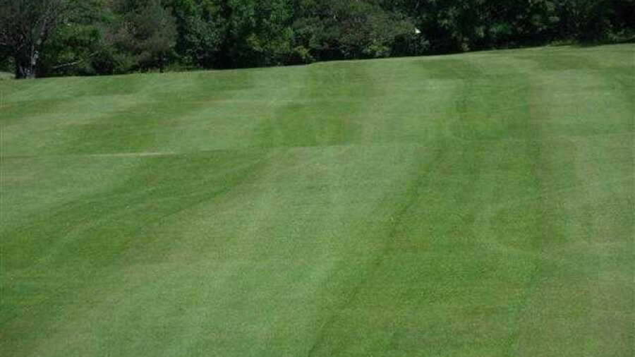Meadowbrook GC