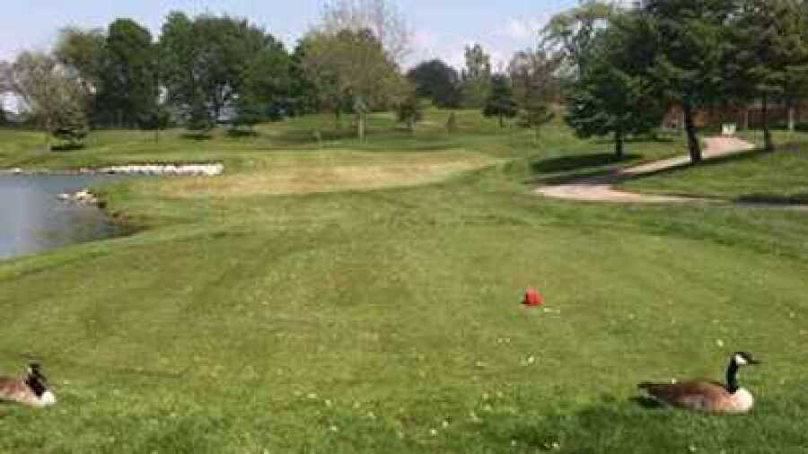 Meadowbrook GC