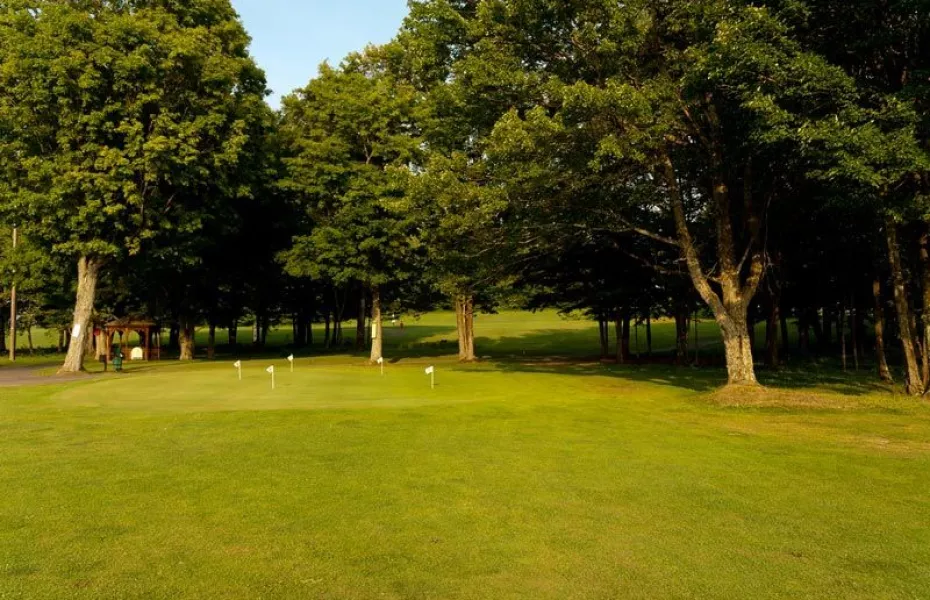 Ford Hill CC: Practice area