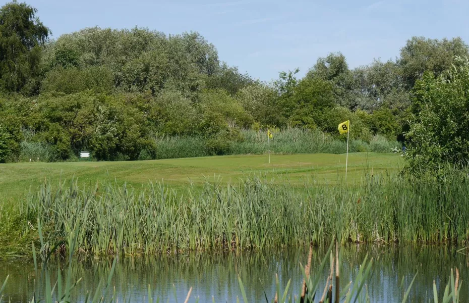 Oijense Zij GC: #8, #3