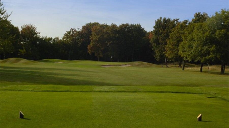 Cuddington GC: #8