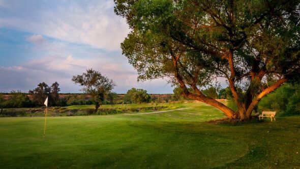 Bluff Pointe GC & Learning Center: #4