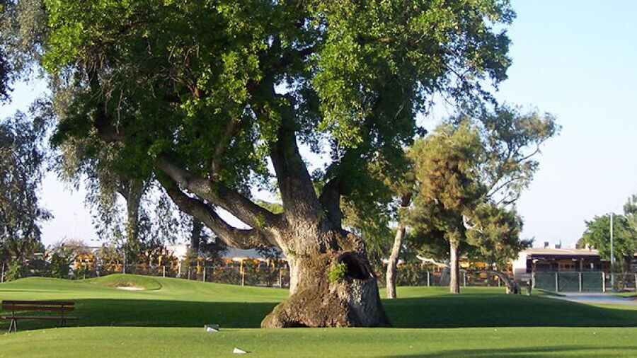Visalia CC