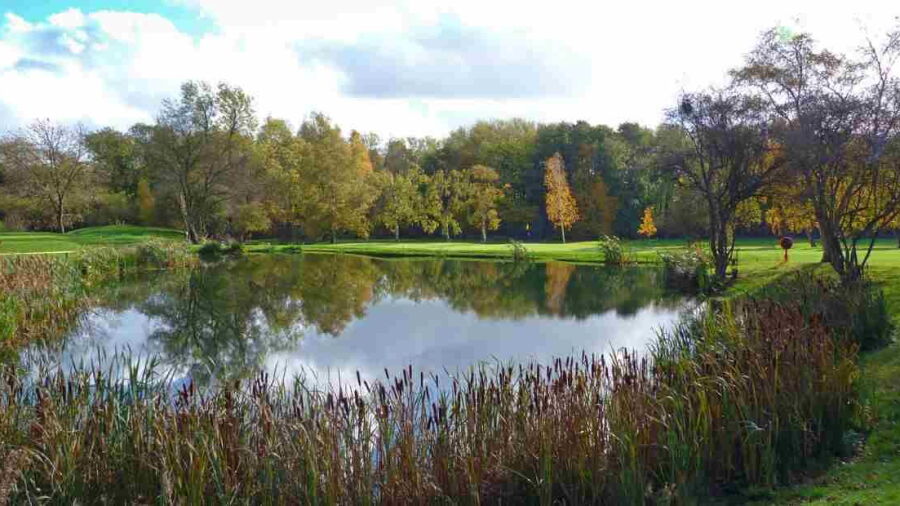 Shirley GC