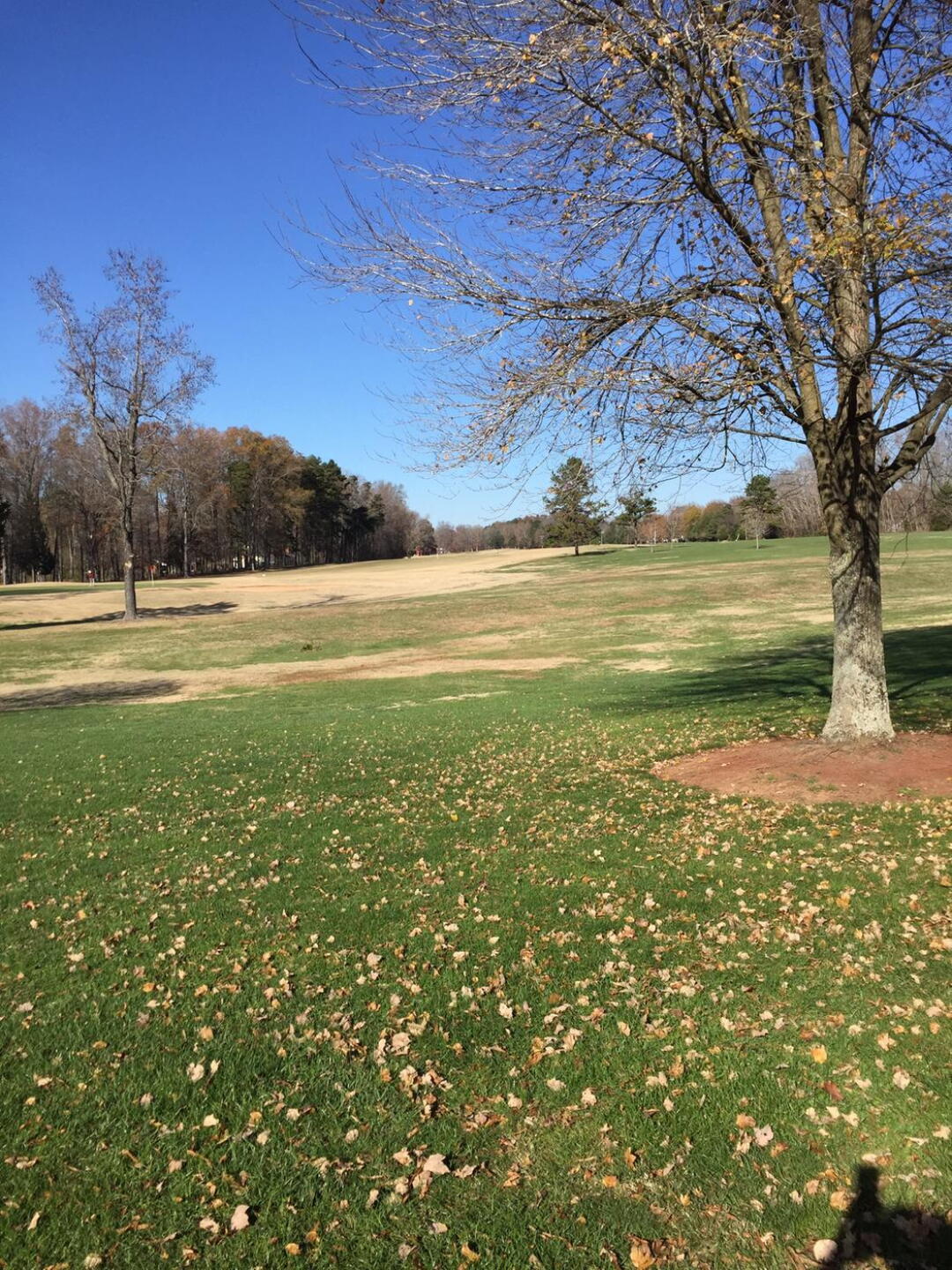 (Photo submitted by Speedblade54 on 11/30/2015)