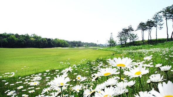 Icheon Midas Golf & Resort - Titan: #3