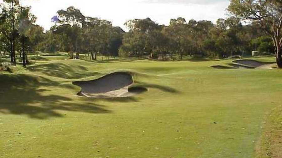 Tea Tree Gully GC: #11