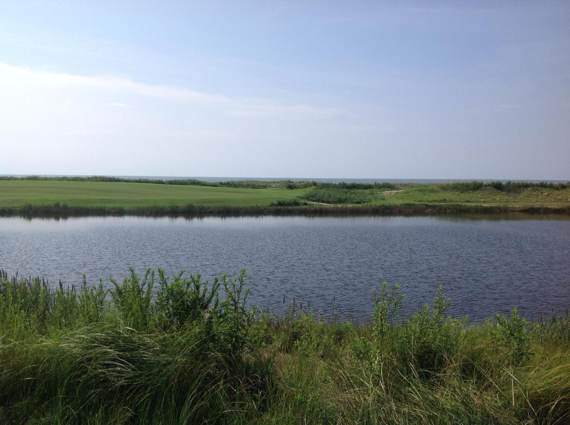 (Photo submitted by trace6590707 on 04/13/2016)