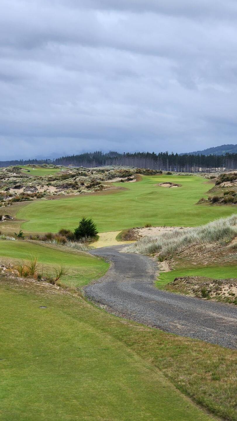 (Photo submitted by nickng316 on 03/18/2024)