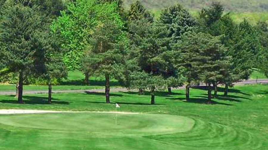 Piney Apple GC