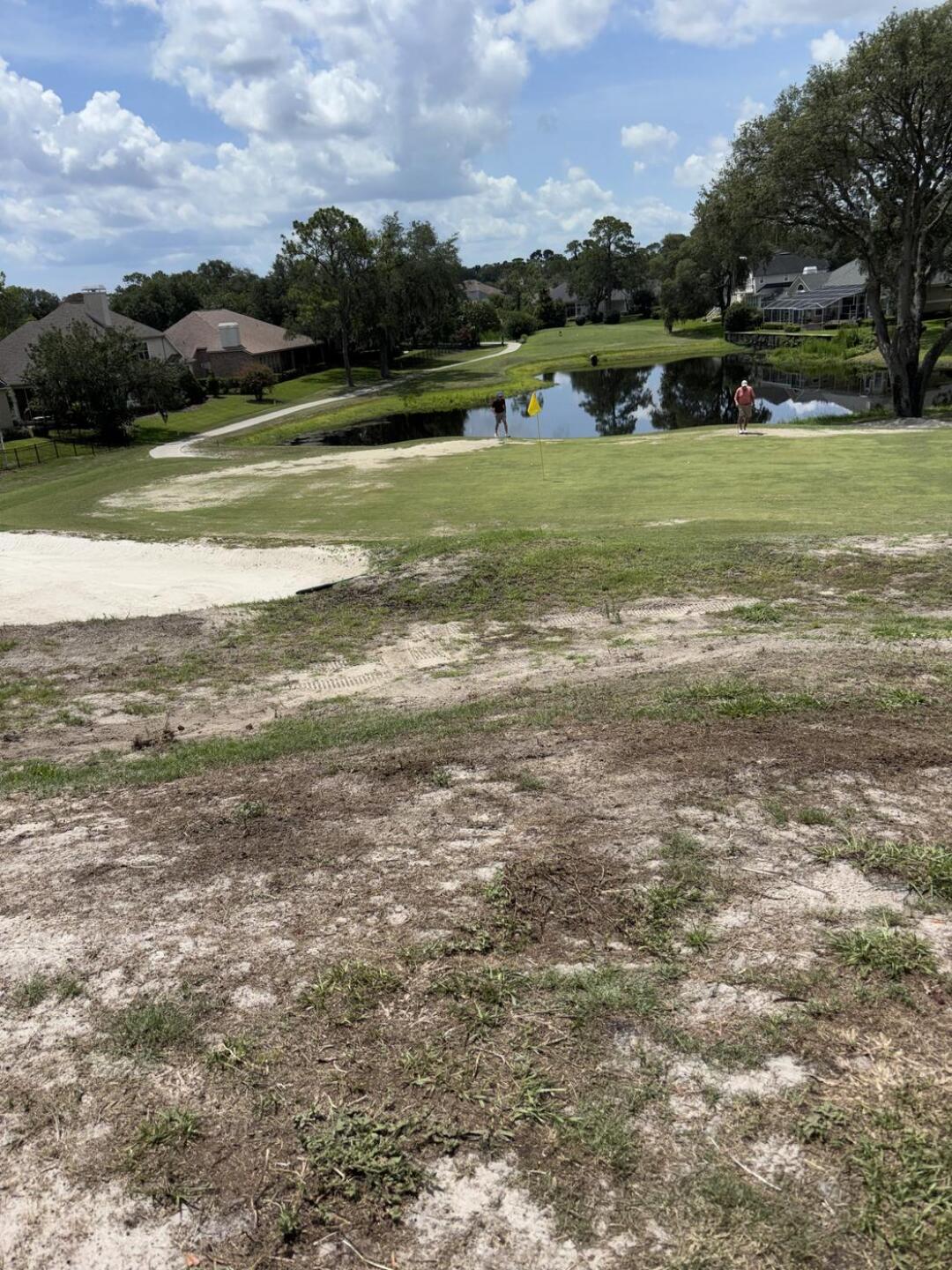 🤮 (Photo submitted by EddieBuckner on 07/06/2026)