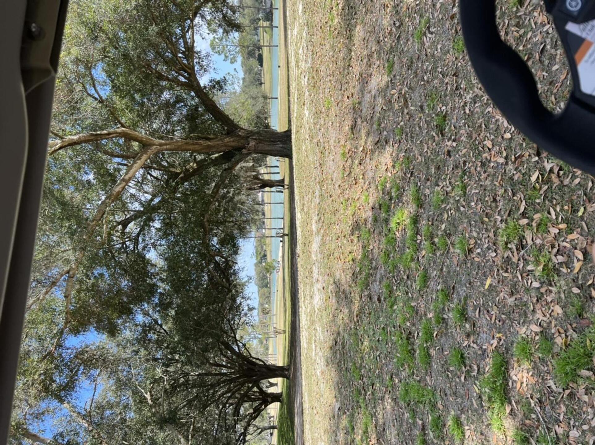 18 th (Photo submitted by Kathryn2110432 on 02/17/2022)