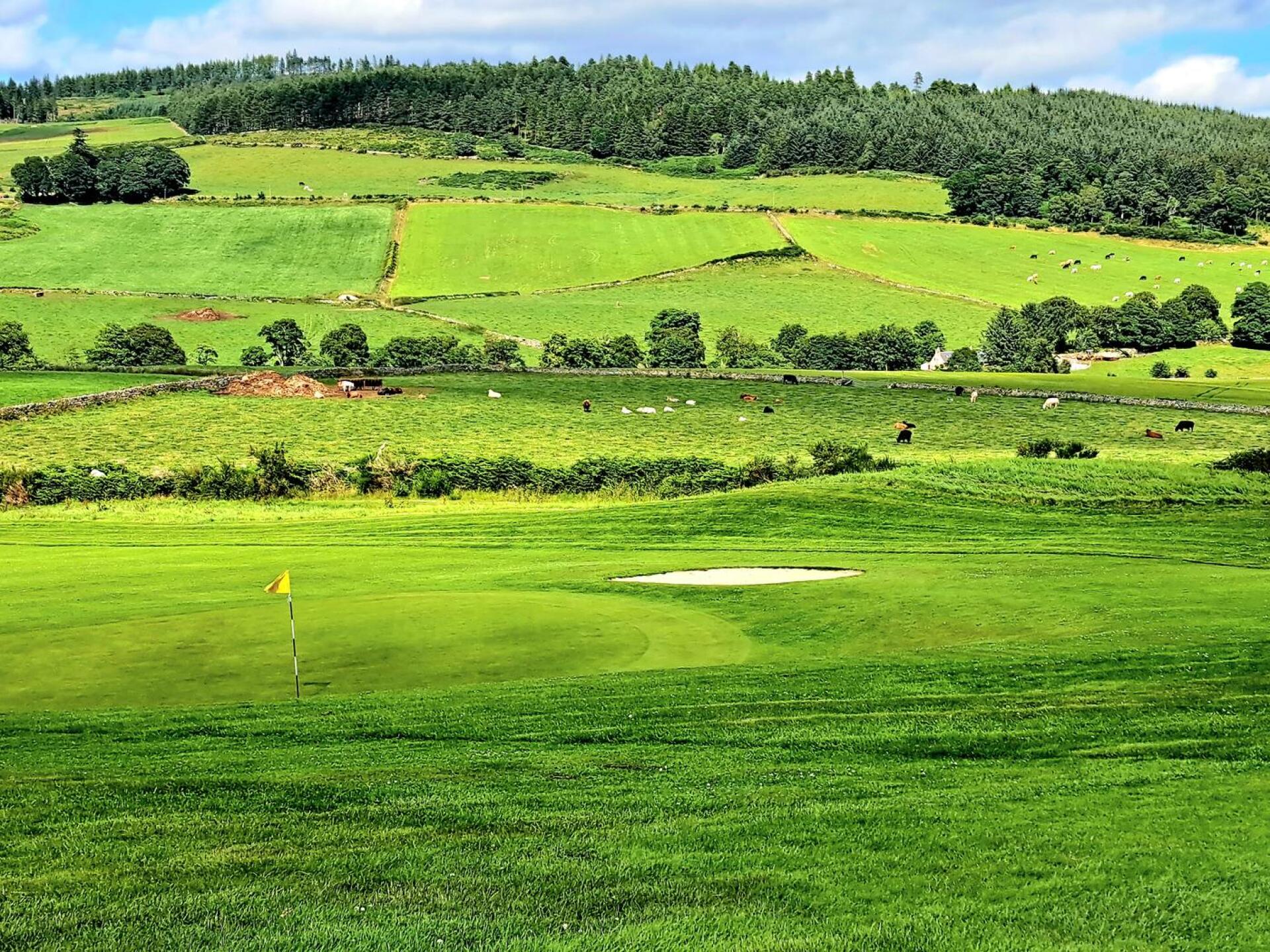 (Photo submitted by u314163107075 on 07/28/2023)