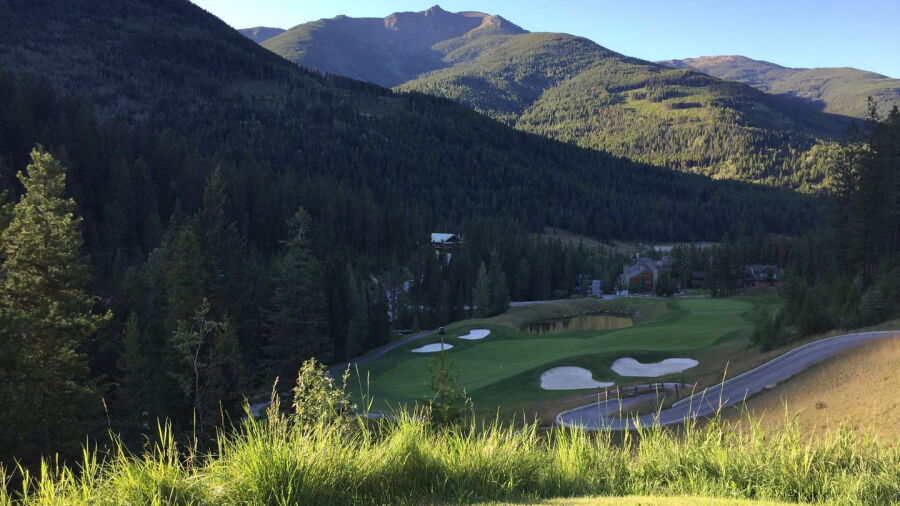 Greywolf GC