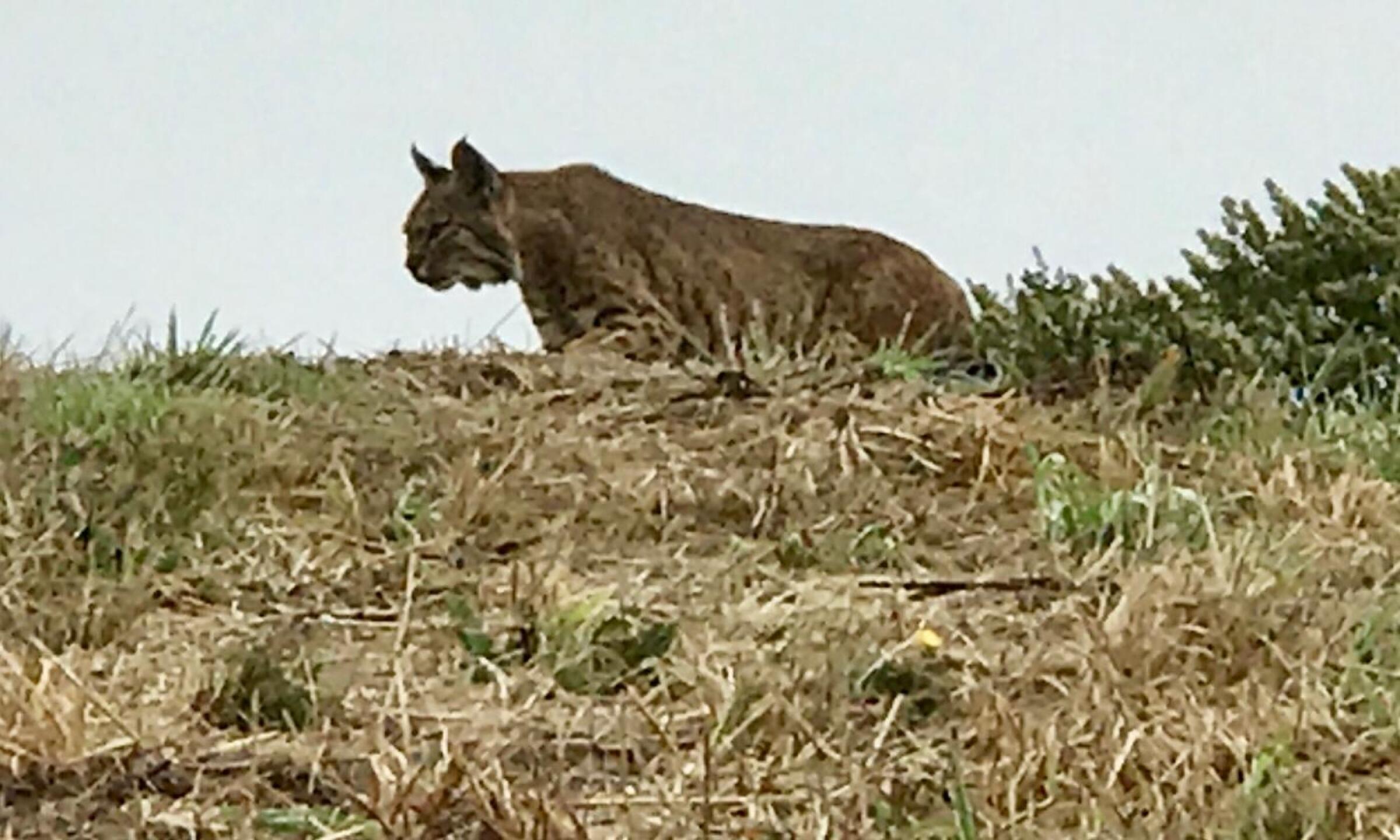 (Photo submitted by torch892 on 08/28/2019)