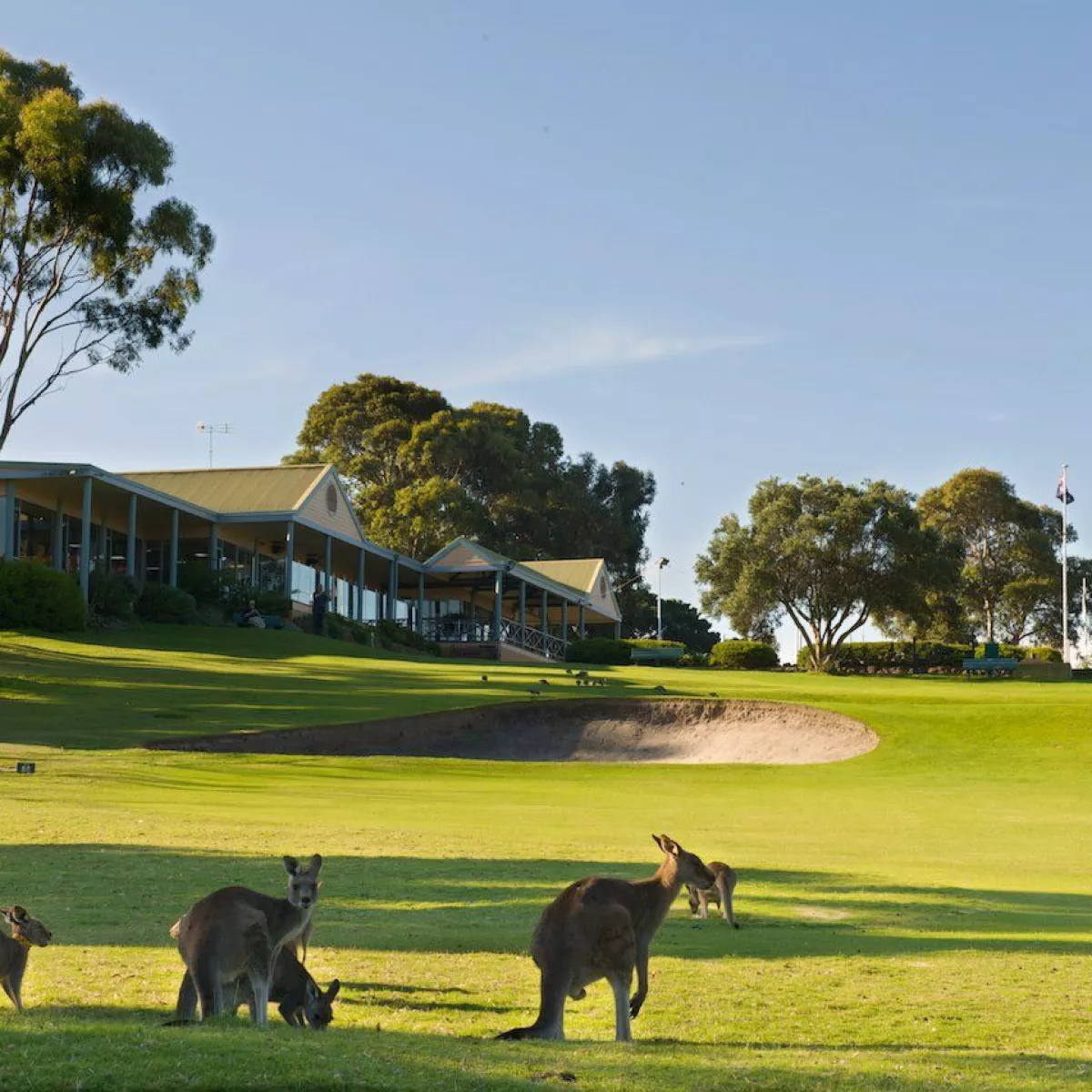 Anglesea Golf Club in Anglesea, Great Ocean Road, VIC, Australia GolfPass