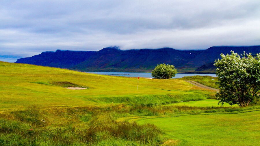 Glama GC