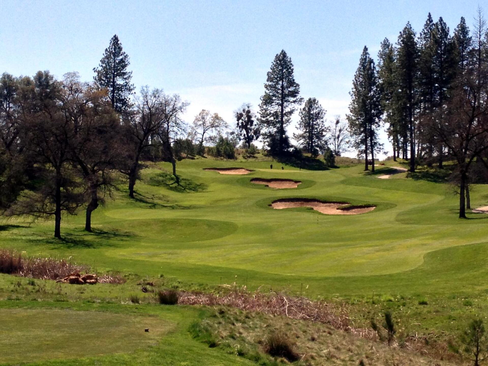 DarkHorse GC, Hole 2, Par 4, 344 yds (Photo submitted by DYakimec on 03/21/2016)
