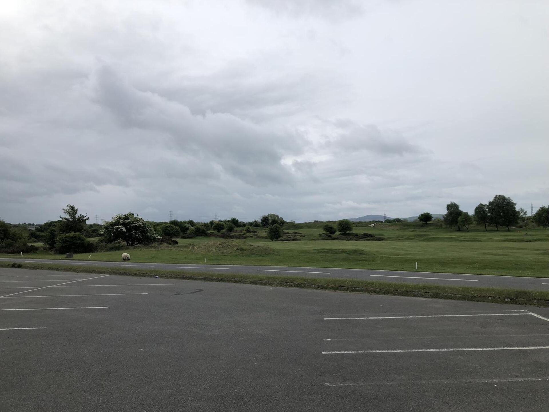 (Photo submitted by pzO1M2xuc1wnJjZJrdQm on 05/20/2022)