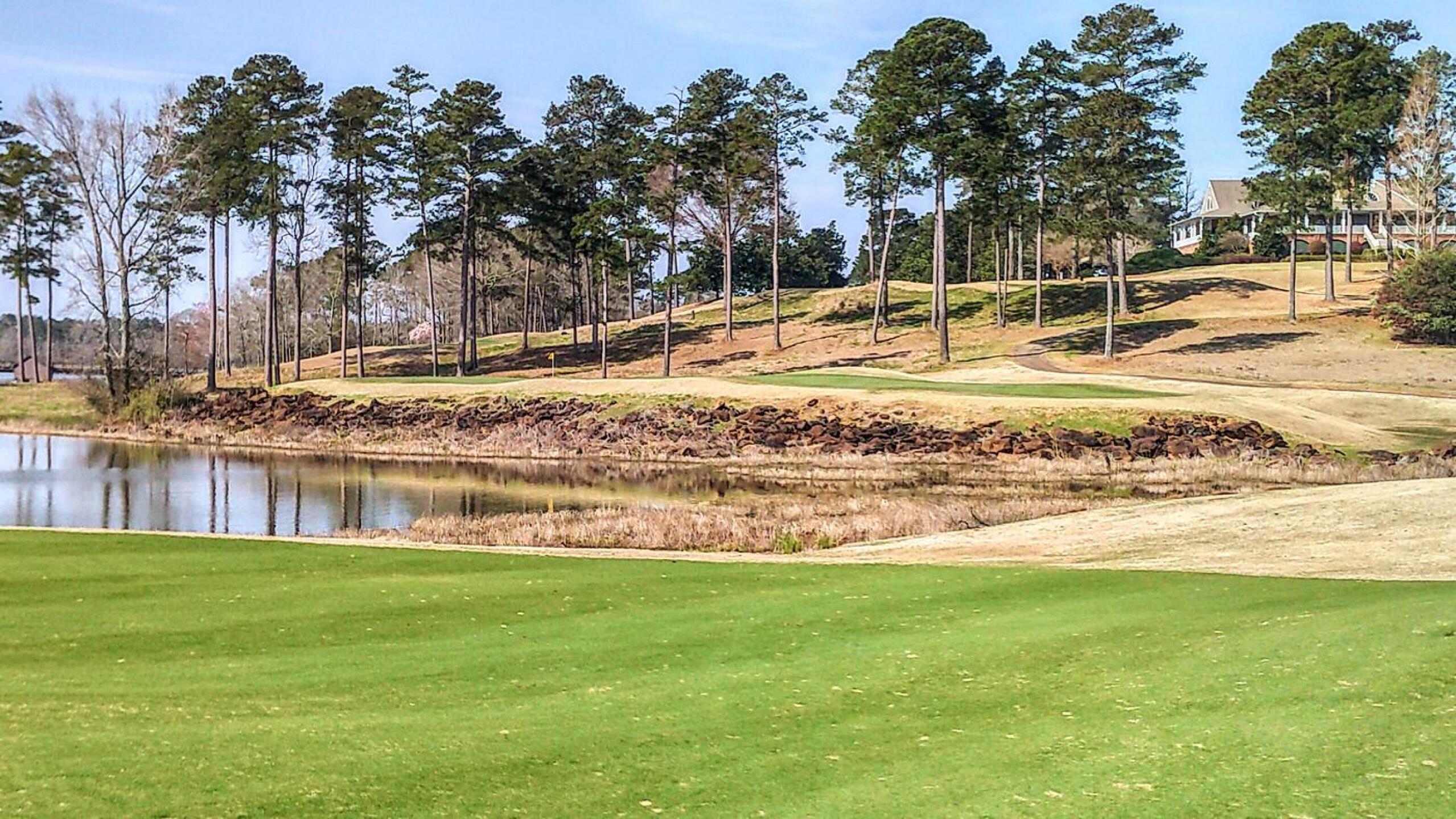 18th green from the fairway. (Photo submitted by JayEmm on 03/13/2021)