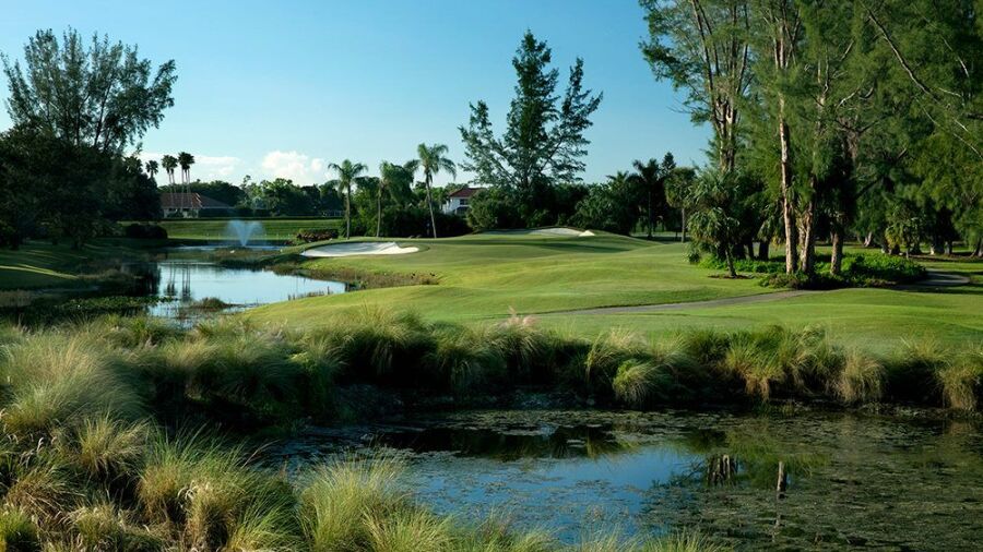 PGA National Resort & Spa - Palmer: #5