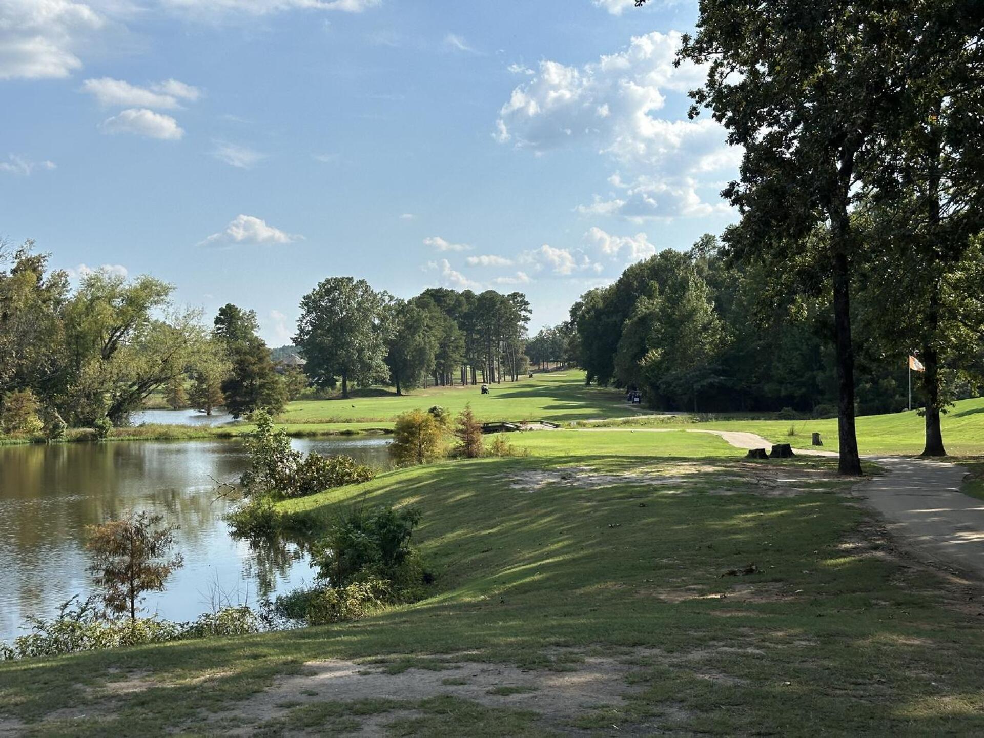 (Photo submitted by Pauli71 on 10/03/2024)