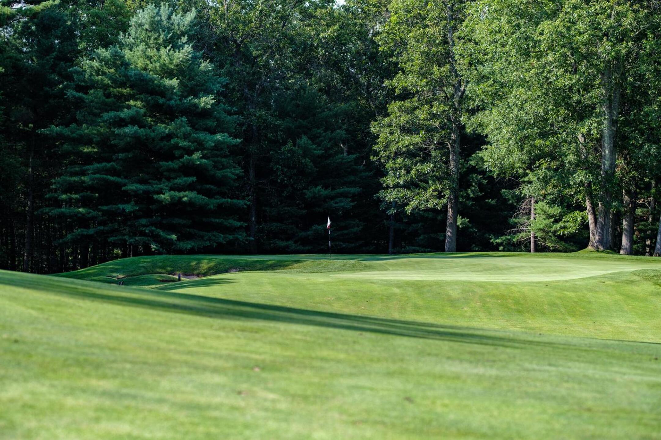 8th (Photo submitted by noahjurik on 07/27/2020)