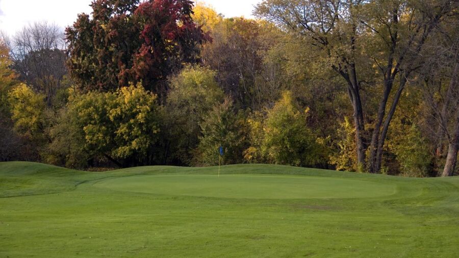 Burning Tree GCC