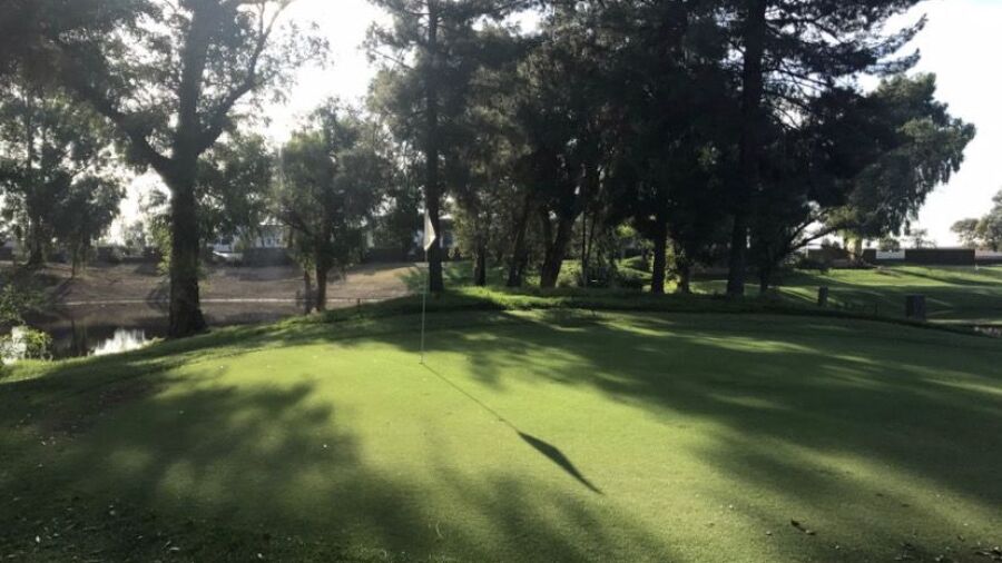 Freedom GC