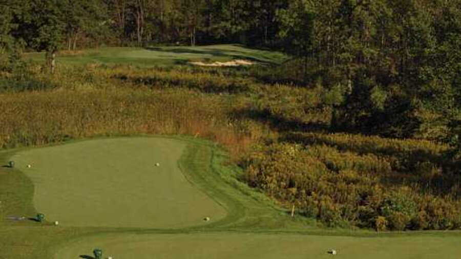 Fieldstone GC of Auburn Hills: #12