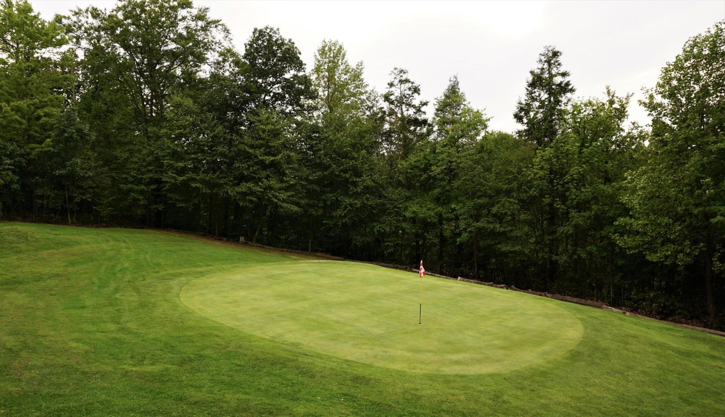 Green nine from its right flank: Small, perched, and tough to hit, with a big falloff into the right side woods. (Photo submitted by AptlyLinked on 09/09/2020)